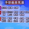 雨無し、「里芋」も萎れて…。