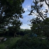うなぎ屋さんが始めた世にも珍しい温泉について：正徳寺温泉「初花」