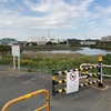 鶴見川　鷹野大橋↔︎太尾公園