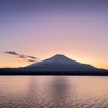 単身赴任が解けて大阪に戻ります。