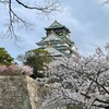 大阪城に登って、お花見をしてきました