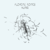  Floating Points / Kuiper