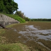 【田植え前】