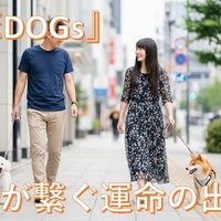 【初恋DOGs】に学ぶ！愛犬が繋ぐ運命の出会いと幸せな恋活・婚活術