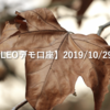 【SHONAN･LEOデモ口座】2019/10/29(火)の成績