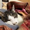 コタとの時間