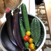 8月7日の収穫野菜
