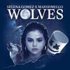 Wolves - Selena Gomez & Marshmello 歌詞 和訳で覚える英語