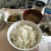 朝御飯