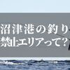 沼津港で釣りがしたい でも釣りが禁止って本当なの Zakionote ザキオノート 沼津港で釣りがしたい でも釣りが禁止って本当なの Zakionote ザキオノート