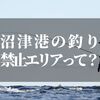 沼津港で釣りがしたい！でも釣りが禁止って本当なの？