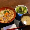 長野GOHAN🍚 「地鶏直売食堂 花」大町市