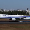 ANA機 着陸｜スカイランド HARADAから