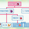 悪性リンパ腫とは？