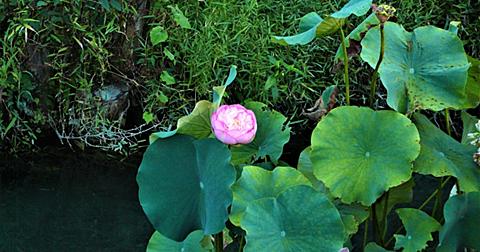 ぎっちょとは 一般の人気 最新記事を集めました はてな