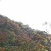 33週4日〜赤城山紅葉〜