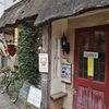 旬菜魚いなだ　豪徳寺　山下