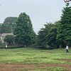 今日も37℃の微熱だった