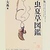 冬虫夏草図鑑へ！小3漢字「事」から無花果の調べ学習から【小2息子】
