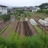 実家の農作業