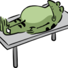 血液透析に移行しました