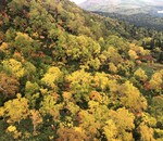 北海道の秋がすごい！大雪山・旭岳を染める紅葉の絶景を見てきた
