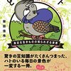 『となりのハト　身近な生き物の知られざる世界』は、ありふれたものほど面白いものはないと気付かせてくれる一冊だ