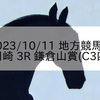 2023/10/11 地方競馬 川崎競馬 3R 鎌倉山賞(C3四)
