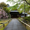 京都市北区｜上品蓮台寺(じょうぼんれんだいじ)