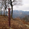 奥多摩　岩茸石山〜棒ノ折山