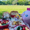 ピクニック