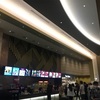 【ぶどうの樹】映画鑑賞