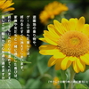 こころの道しるべ（226）楽しさと喜び