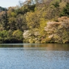 石田坂大堤（秋田県秋田）