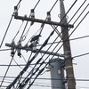 高い木の上の見えない巣