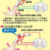 ★久々のこむら返りでした！