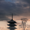 2016年末一人旅　第三週(135)東寺