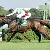 競馬初心者必見☆馬券予想🔥〜京成杯AH〜超G1級のあの馬は勝ち切れるのか！？