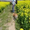 ジャッキーの登山編