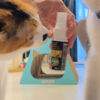 新しい猫の爪とぎにまたたびスプレーをかけてみました(ΦωΦ)ﾆｬ
