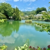 月見ヶ池（山梨県上野原）