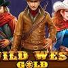 Unveiling the Mysteries: Wild West Wonders Slot Machine with RTP 95%