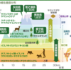 世界でも珍しい「温帯の島国」　日本