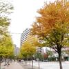 一番はいつも同じ木かな