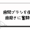 歯間ブラシを使う歯磨きに奮闘中