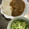 牛スジカレーはいつもと違うカレー　玉ねぎって冷凍できるの？