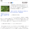 角娘の降臨２