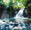 【2020年6月スピリチャルメッセージ】波動の高い日本語を使う