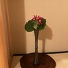 略盆点前を行いました。