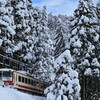 雪中のレッドアロー(富山地方鉄道)